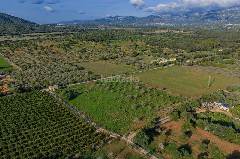 Foto 48c4c5aa-dc72-4487-93d9-0089d5e361f9. Terreny residencial a Búger