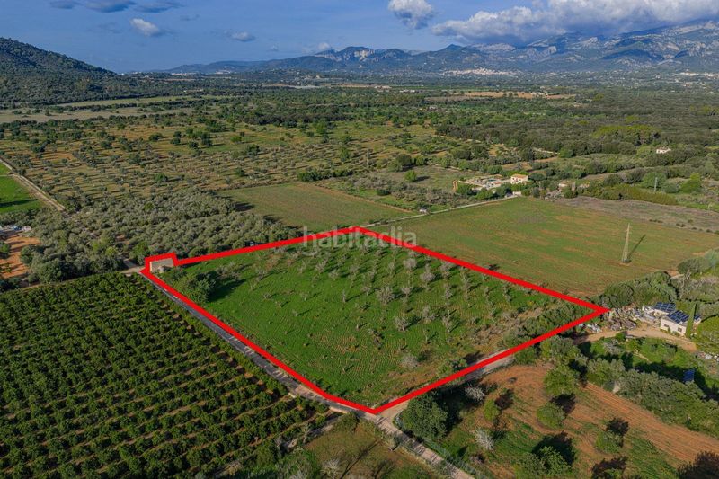 Foto 747765be-89c0-4d38-b2f6-cb9cb4376939. Terreny residencial a Búger