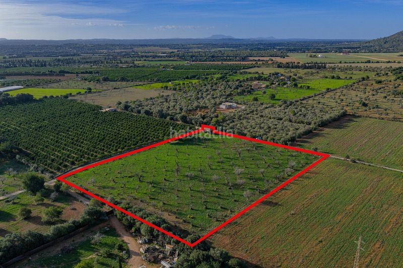 Foto 7e9c4851-17dd-4cc4-9d45-07970192c471. Terreny residencial a Búger