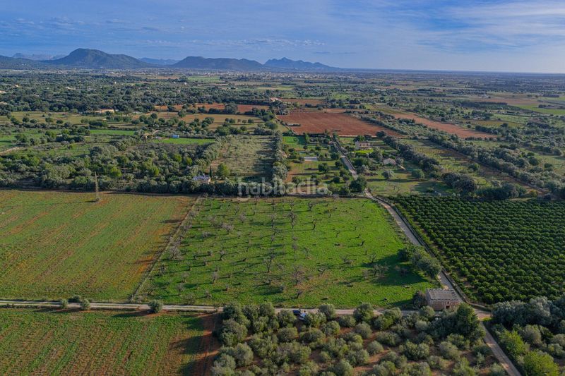 Foto 8009e571-df78-49e1-85ff-49fbca4d51a0. Terreny residencial a Búger