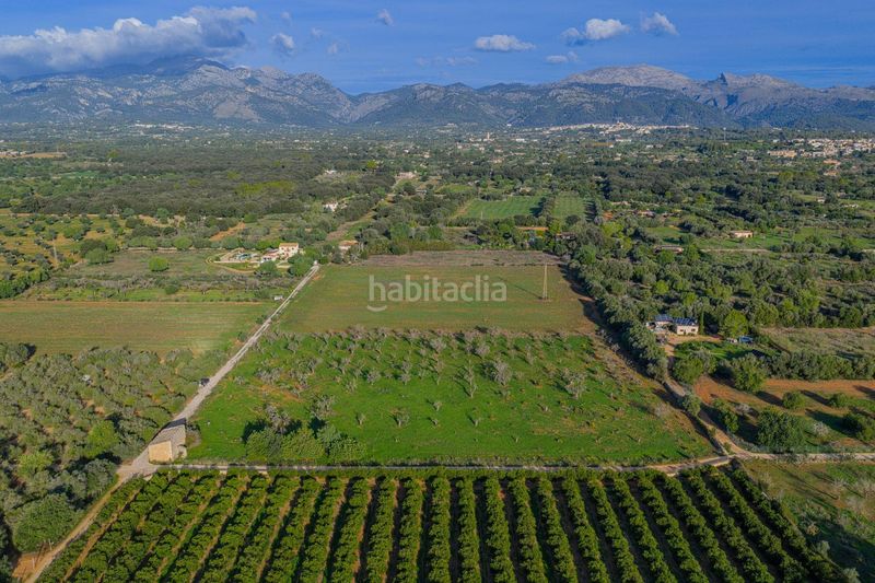 Foto 87210683-67be-4873-9ec3-68fa54a3aa08. Terreny residencial a Búger