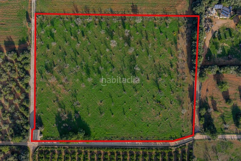 Foto a7032c39-7fca-4c03-81ff-ad52ae55084b. Terreny residencial a Búger