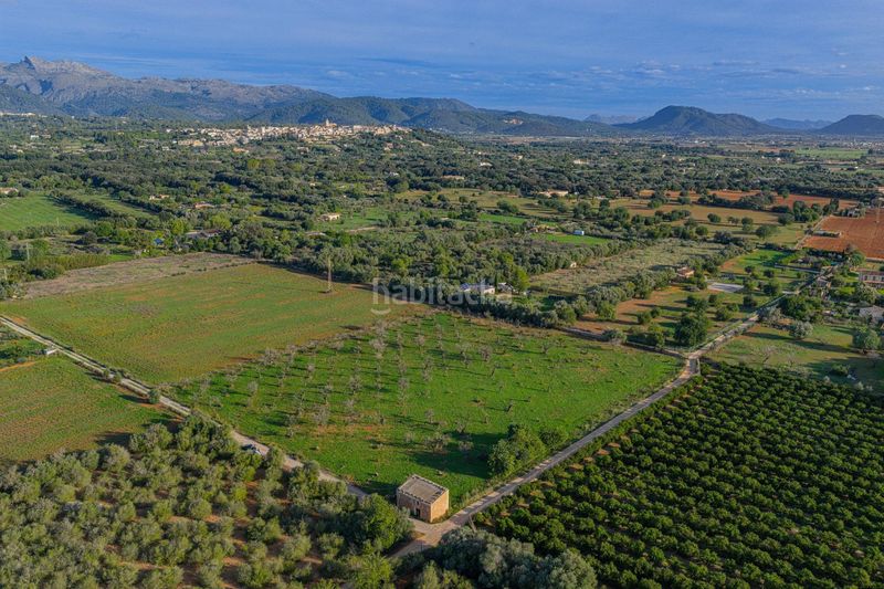 Foto b98b8f2f-4b7c-492c-8a7b-7528623a3628. Terreny residencial a Búger