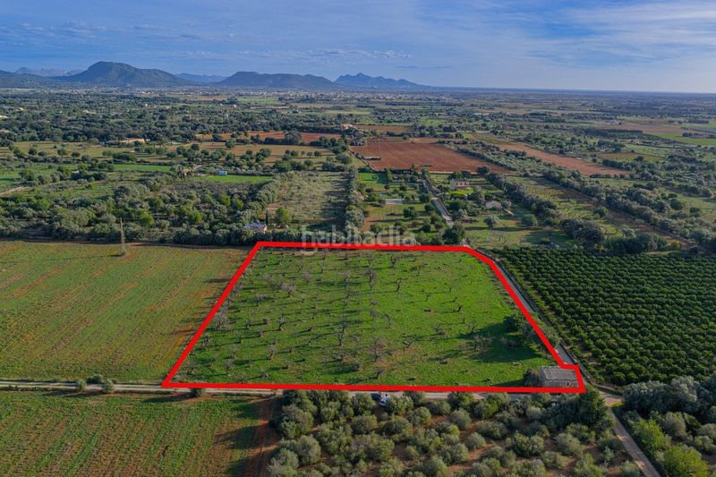 Foto c533f716-332c-4528-8c75-496836ca77cd. Terreny residencial a Búger