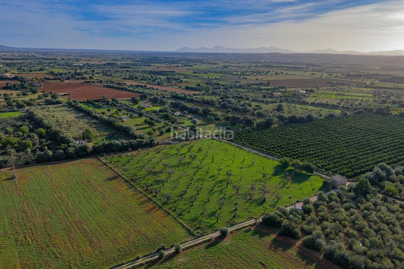 Foto e8316e94-c366-4877-8230-d5a2fb398c72. Terreny residencial a Búger