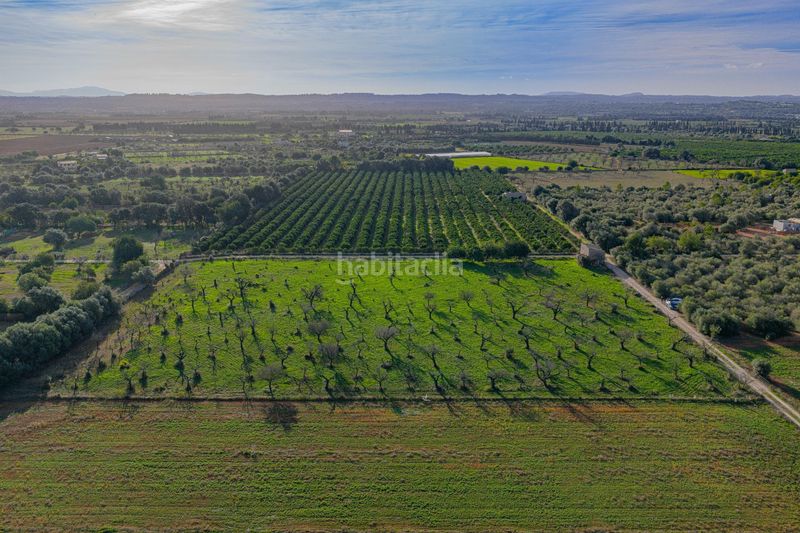 Foto e907de7d-ab8b-4f3d-8431-9924b1ebb580. Terreny residencial a Búger