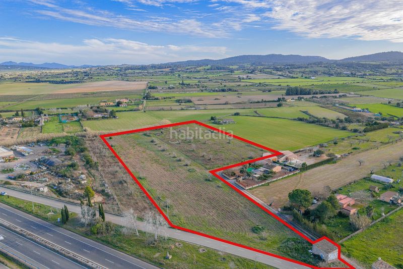 Foto 18589667-67e4-4e6e-b8d0-14d9bdafa615. Terreny residencial a Algaida