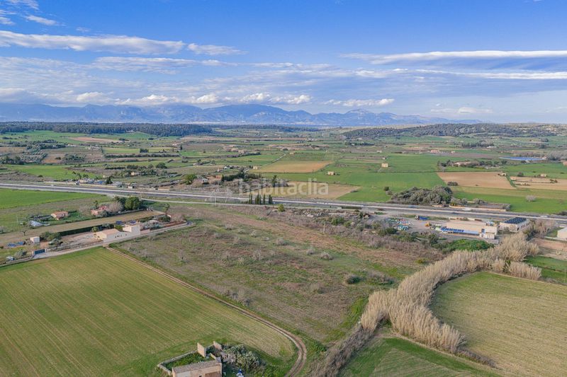 Foto 3198a921-3520-4d9b-89c7-ebabac14bf50. Terreny residencial a Algaida