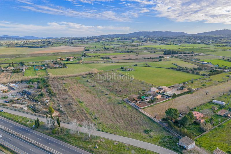 Foto c0f50e7e-9240-4abd-84ff-06ad6187a4d6. Terreny residencial a Algaida