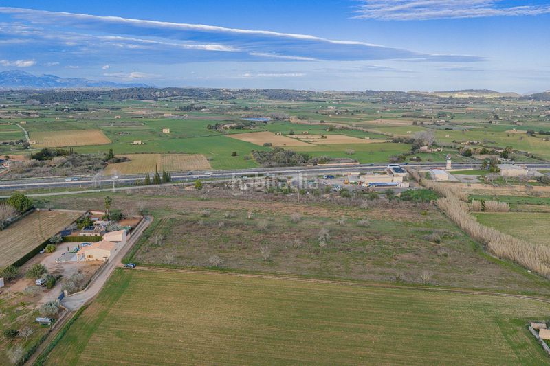 Foto eb6a52a2-0f84-4464-b847-e28c4feaa8e1. Terreny residencial a Algaida