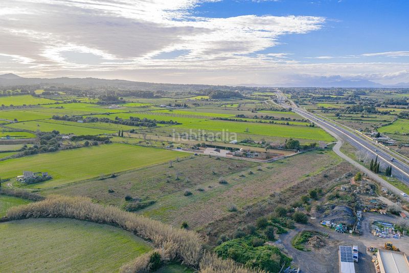 Foto ee4e6344-e240-4a8f-8619-86606171cd9d. Terreny residencial a Algaida