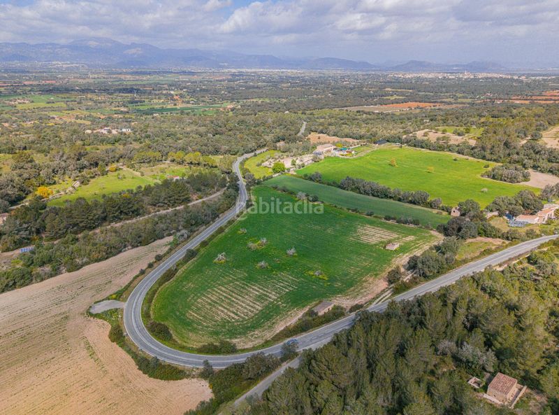 Foto 3736c00c-b289-4e2c-ae27-4b7276a1ca7b. Finca rústica a Llubí