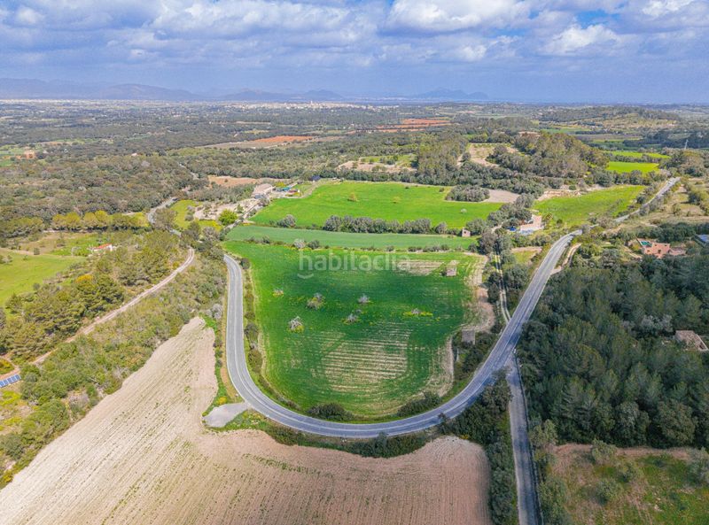 Foto fadc0ffe-e123-42a5-8042-6fa4788d95ad. Finca rústica a Llubí