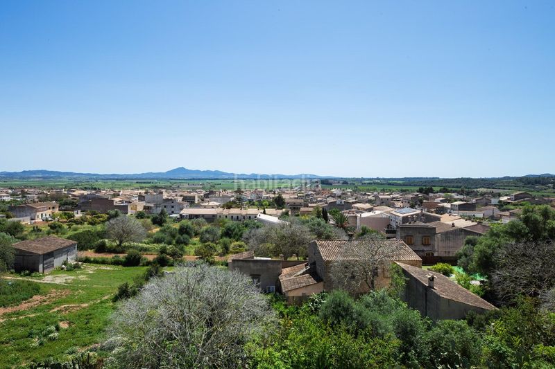 Foto 287c8717-7ce2-4dad-8558-a45634801388. Dúplex amb piscina a Vilafranca de Bonany