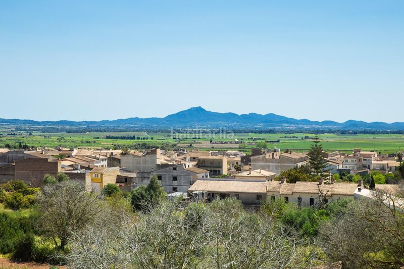 Foto e544ecf6-6c16-4943-bce4-8bdbc9de85df. Dúplex amb piscina a Vilafranca de Bonany