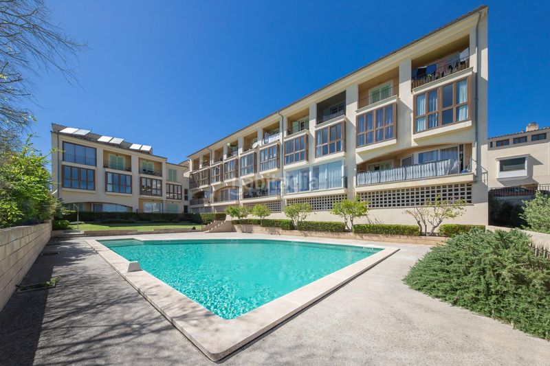 Foto f697f625-d34a-4c0e-8981-3d6e9dc255a7. Dúplex amb piscina a Vilafranca de Bonany