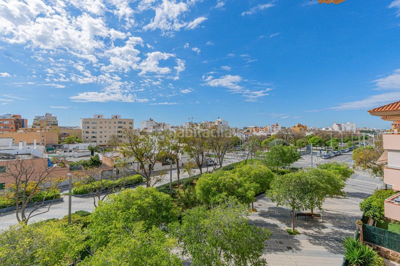 Foto 9e263239-da4e-423f-861c-9567094f2a8a. Pis amb calefacció aparcament piscina a Son Oliva Palma de Mallorca