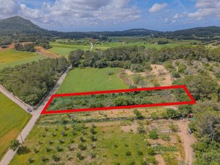 Finca rústica a Algaida. Terreno rustico en algaida