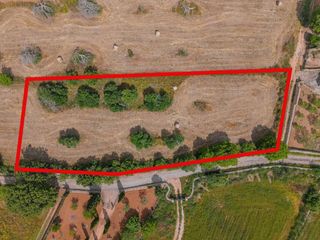 Landgut in Archena. Terreno rustico en algaida