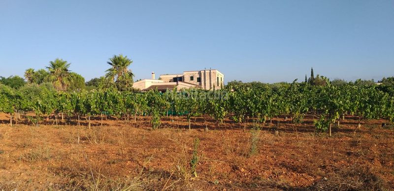 Foto b5ee24c2-a1c6-449d-b594-4528b81da5c3. Masia amb calefacció aparcament piscina a Sencelles