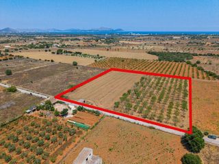 Terreno residencial  Camino poligono 13. Terreno urbanizable en can picafort con licencia y proyecto apro