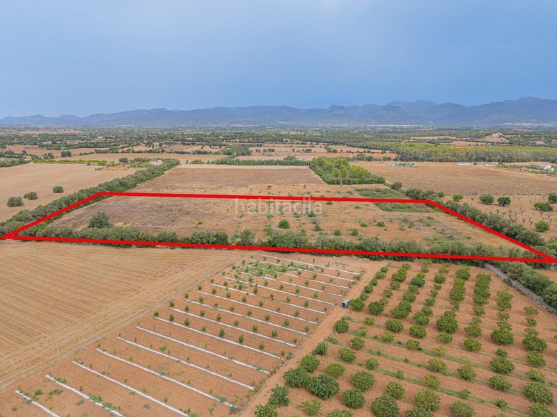 Foto 1a01697b-b014-4e4d-96e7-d5f08d3b256c. Finca rústica a Sencelles