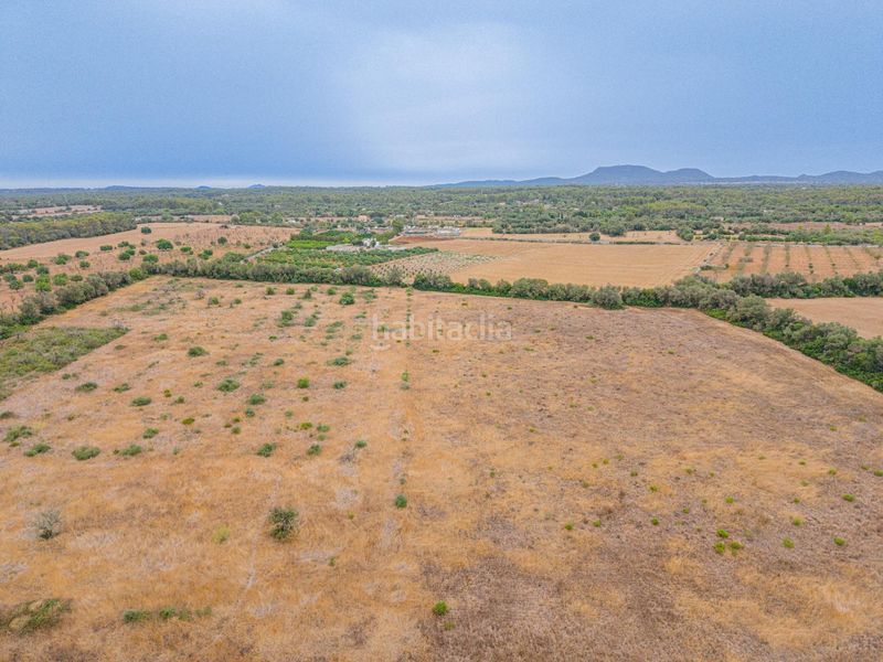Foto 4ead8ad4-3c4d-4b37-8340-849dd61a5063. Finca rústica a Sencelles