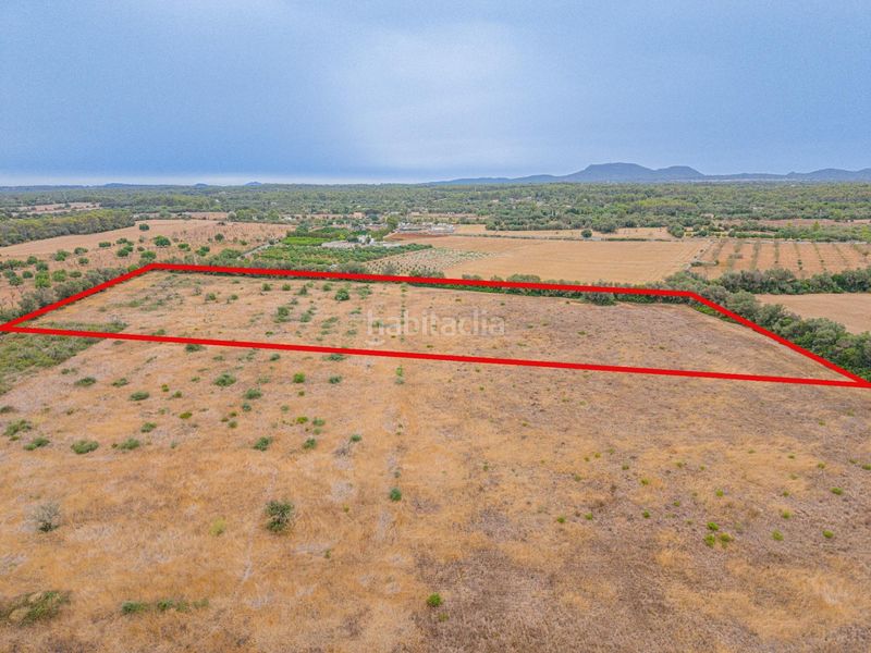 Foto 57e04a11-033d-4715-bb91-d1cb019b7dce. Finca rústica a Sencelles