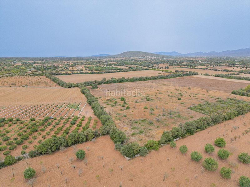 Foto 6304aaa1-fe88-4e5f-98d2-a76b9ff256de. Finca rústica a Sencelles