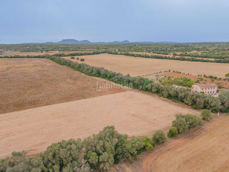 Foto e28f737f-9214-498c-8d65-b16f4e690f69. Finca rústica a Sencelles