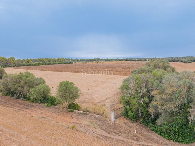 Foto f72a80e7-7afb-4241-bc48-9dfed0d2e353. Finca rústica a Sencelles