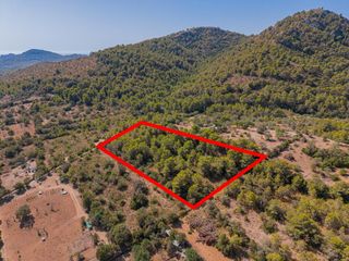 Landgut in Son Servera Poble. Terreno agrícola de 9.210 m2 en son servera, mallorca