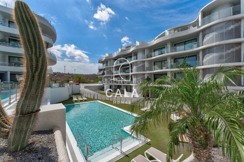 Foto cce5ef62-b49a-4826-8528-1b9eb3200386. Apartament amb aparcament piscina a Palm - Mar Arona