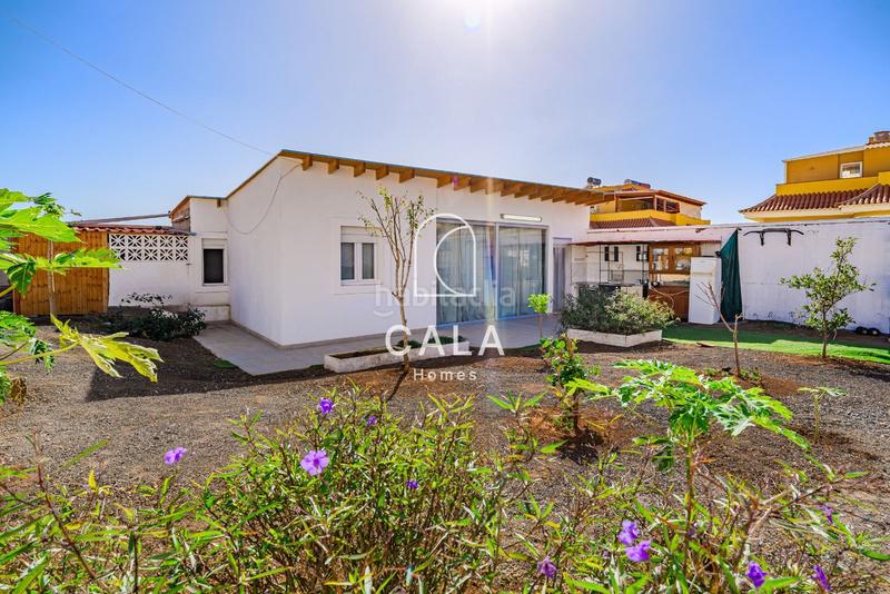 Foto 6af2afb5-b29a-46e7-a0d8-b22178329091. Casa  independiente en puerto santiago en Puerto de Santiago Santiago del Teide