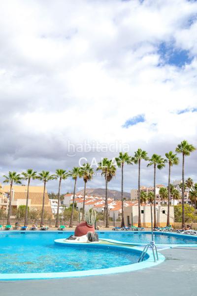 Foto 6be1946b-2693-4130-99b3-4e0383f1181c. Apartament amb piscina a Playa de las Américas Arona