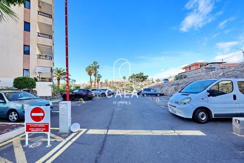 Foto 782d5d27-a08f-4886-ae86-d24549eed71e. Piccolo appartamento con riscaldamento piscina in Adeje