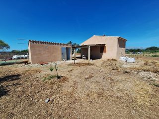 Country house in Sa Pobla. Finca con caseta de aperos reformada con final de obra