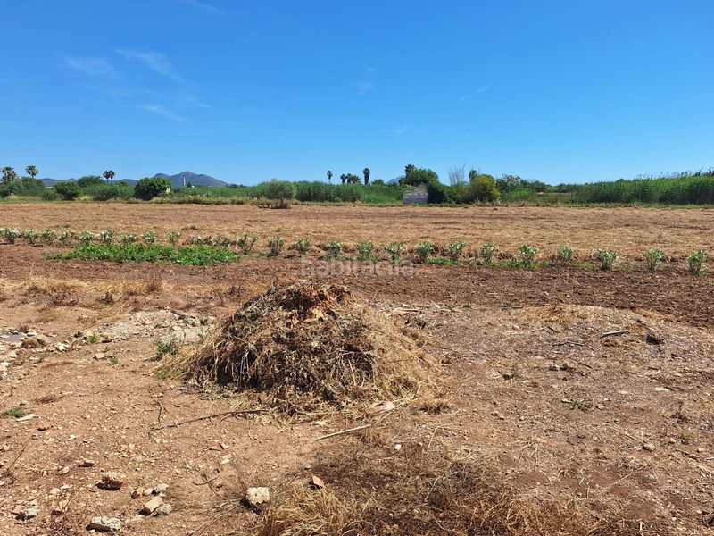 Foto ff333286-f94e-4160-a866-f172f232dec4. Masia a Sa Pobla