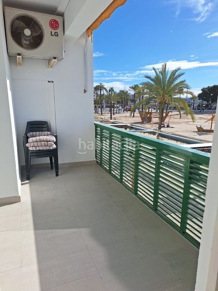 Foto 55749a76-250e-4bfe-8083-a6d4837f40cb. Pis a port d´Alcúdia-platja dálcúdia Alcúdia