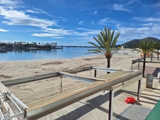 Appartamento in Port d´Alcúdia-Platja dÁlcúdia. Magnifico piso en primera línea de mar