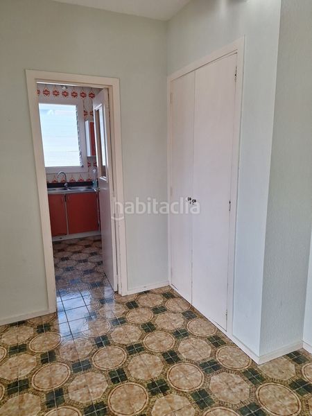 Foto b6dbd2f0-5491-4b70-9337-16a50090fece. Pis a port d´Alcúdia-platja dálcúdia Alcúdia