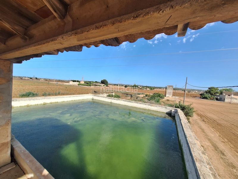 Foto 0b3662f2-f4dd-4cf8-83d1-c7c852d76899. Finca rústica a Sa Pobla