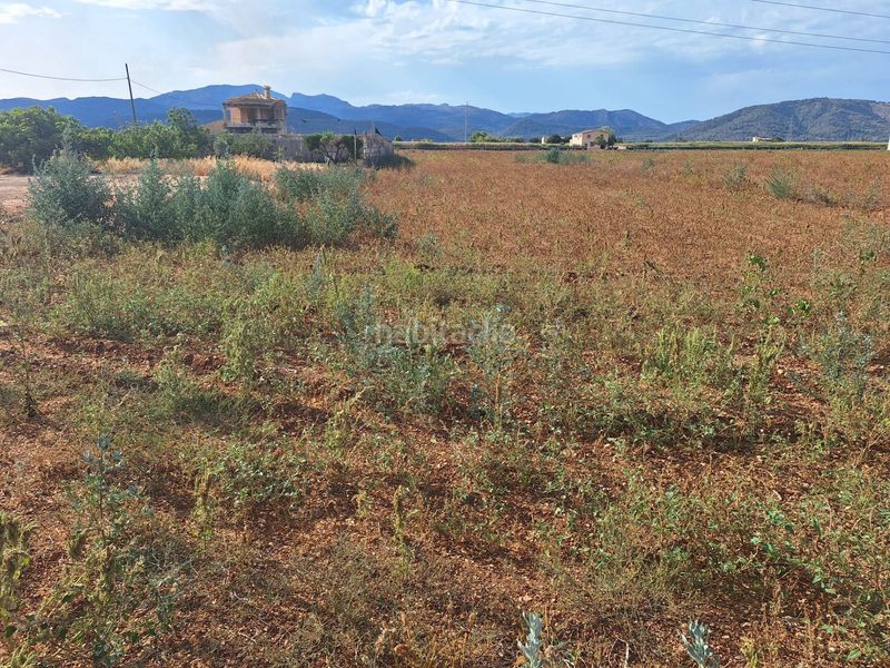 Foto 448aa860-9c13-4b84-8f91-fd39af04f28e. Finca rústica a Sa Pobla