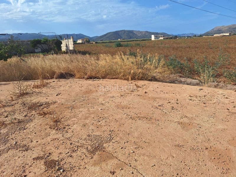 Foto 49ffdaff-593e-4df3-aab4-5c9e53c27c6f. Finca rústica a Sa Pobla