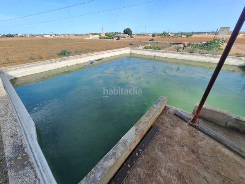 Foto a3e6eed9-9f12-4d1f-a71f-f976c673e3dd. Finca rústica a Sa Pobla