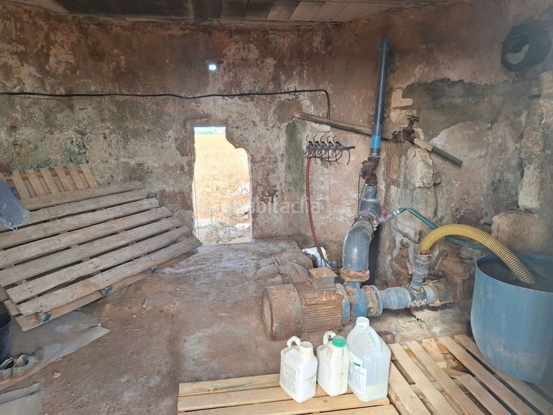 Foto f2797556-c4c2-4815-8696-9c1e44b923e0. Finca rústica a Sa Pobla