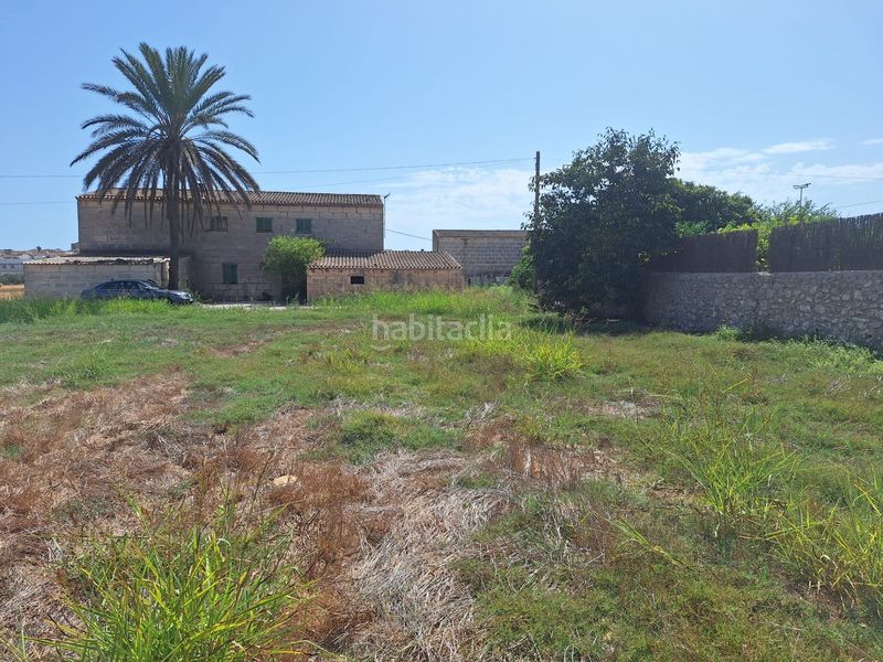 Foto 1ee04f6e-b988-4966-aaac-a6ea25f40259. Terreny residencial a Sineu