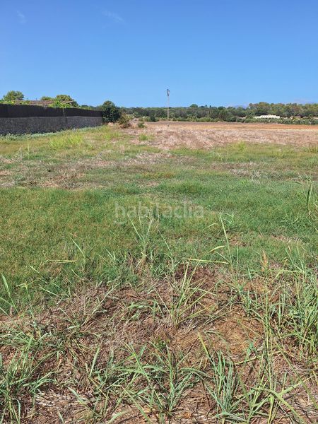 Foto 5cd155fb-55d1-4459-988f-7834f8422f00. Terreny residencial a Sineu