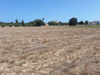 Terreny residencial a Sineu. Finca en el pueblo de sineu con pozo de agua propia