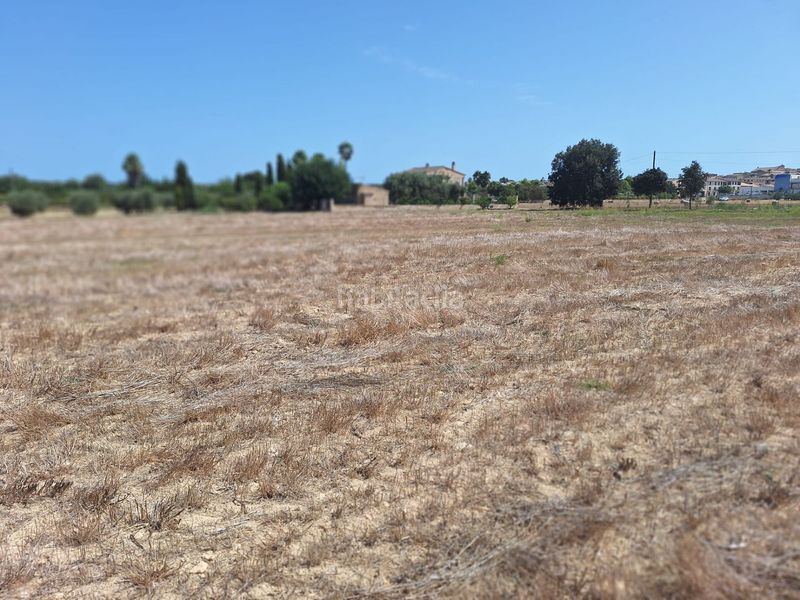 Foto 732c3923-2c54-4286-a72c-fd5a8f10e837. Terreny residencial a Sineu